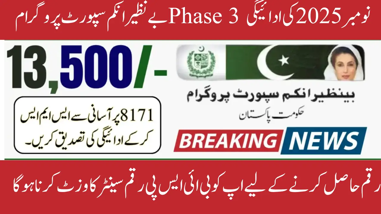 BISP 8171 Phase 3 November 2025 Update Check Complete Details Online Through CNIC