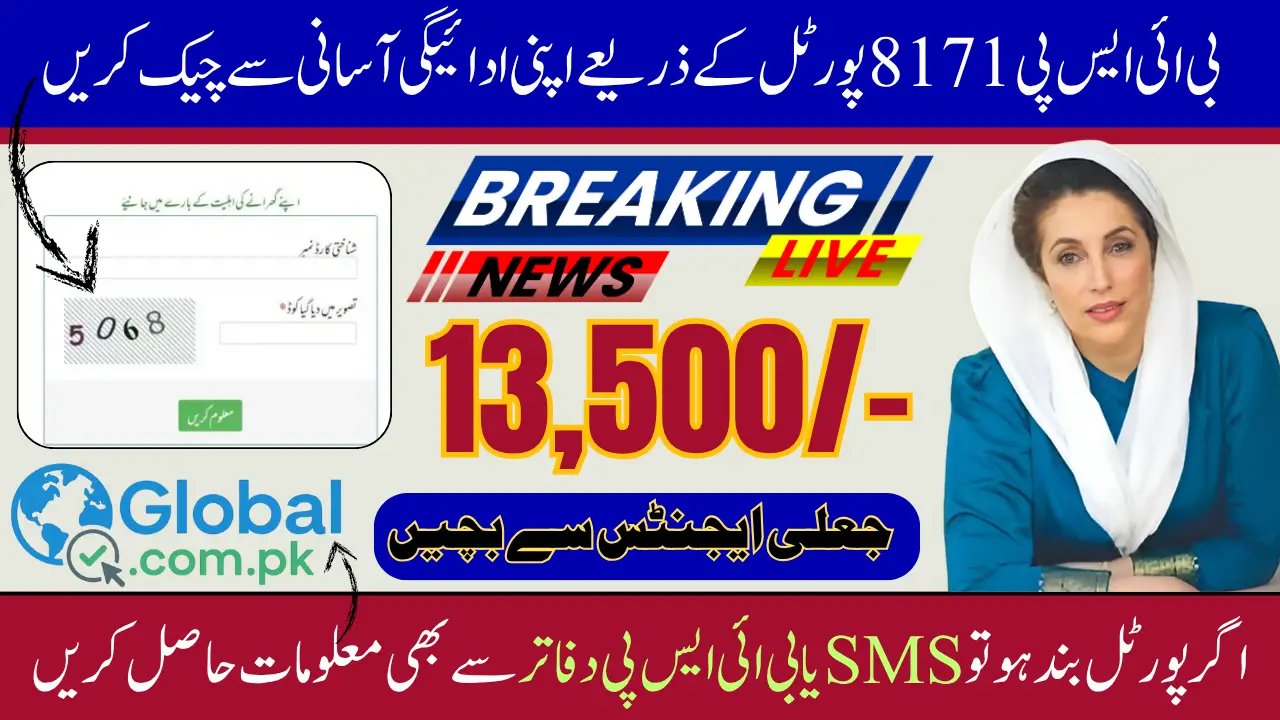 BISP 8171 Payment Portal Check Online Through CNIC | Complete Instructions