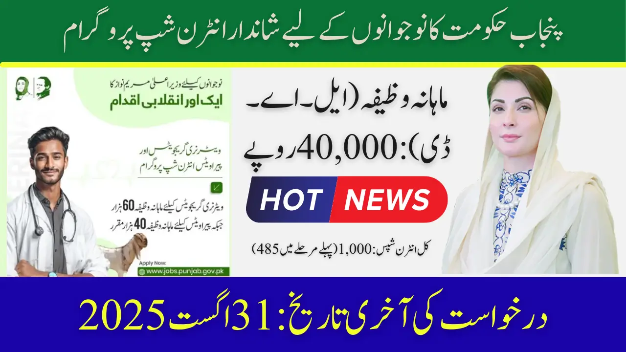 Punjab Internship Program 2025 Application Deadline and Check Eligibility Criteria
