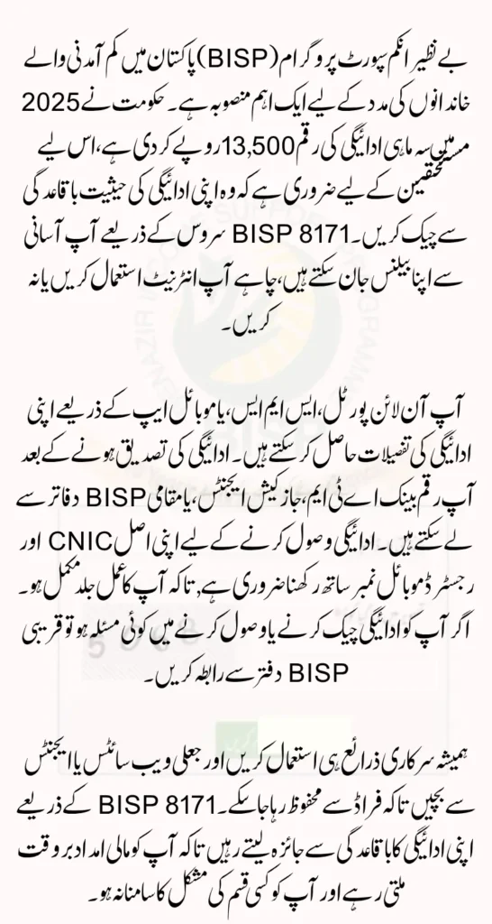 BISP 8171 Online Balance Inquiry & What Documents Are Required for Rs 13,500