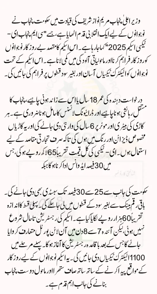 CM Punjab E-Taxi Scheme 2025 Start in Punjab Check All You Need to Know