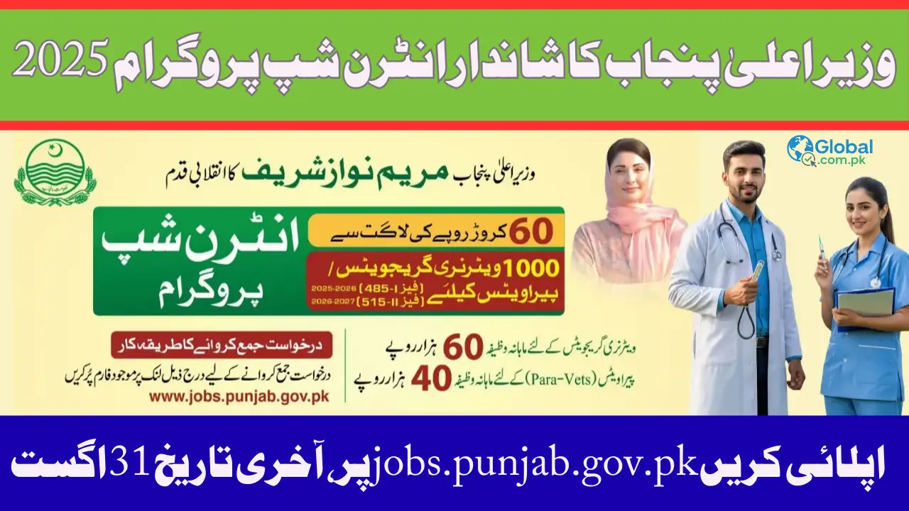 CM Punjab Internship Program 2025 Check How to Apply (Step-by-Step)