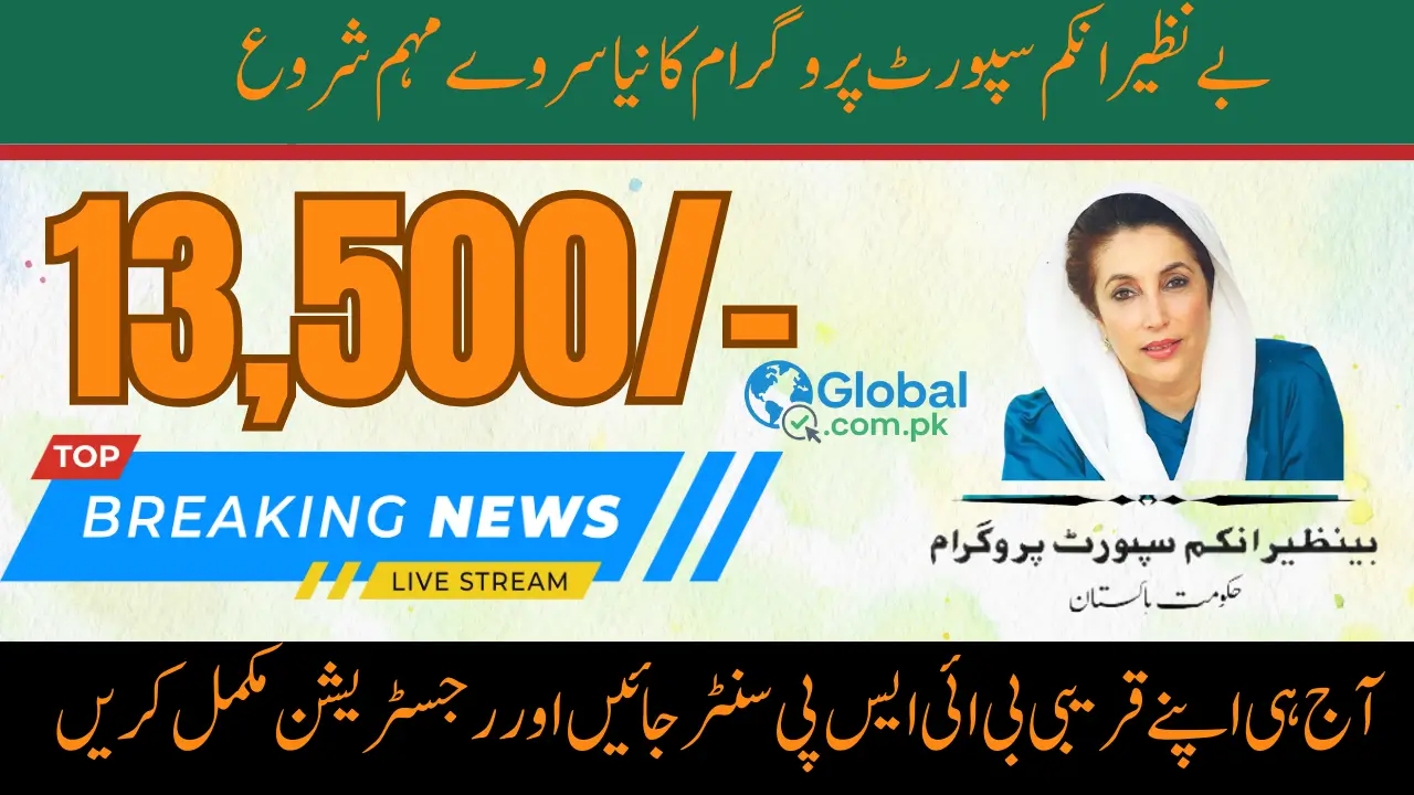 NSER Survey BISP August Campaign Check Complete Process Step-by-Step
