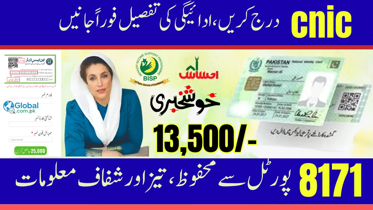 BISP 8171 Web Portal Payment Ongoing Check Complete Details (2025 Update)