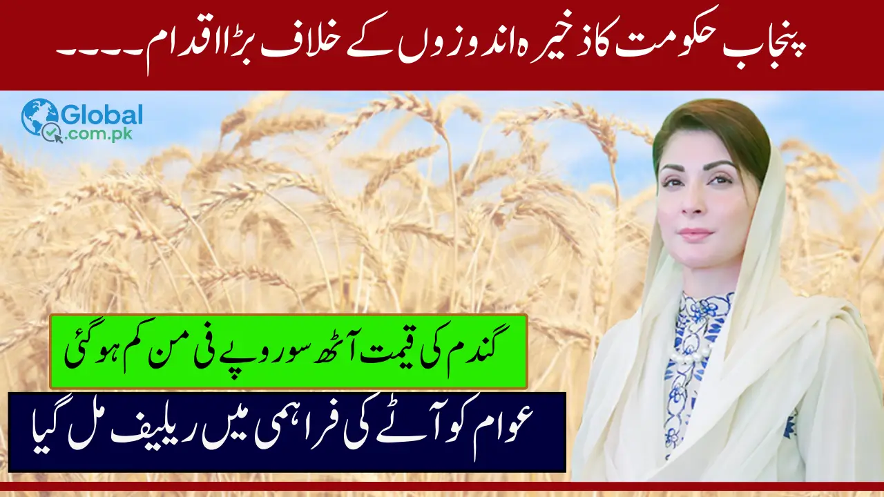 Punjab Recovers 334k Tons of Wheat From Hoarders Leading to Price Drop | Complete Details