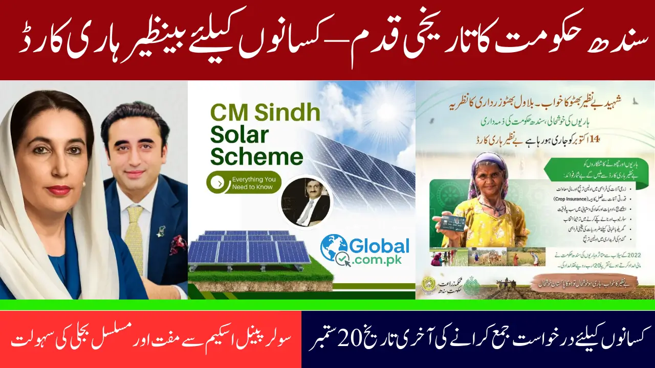 Sindh Govt Launches Benazir Hari Card & Solar Panel Scheme for Farmers | Complete Details