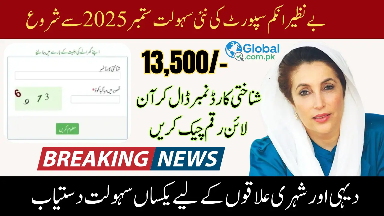 BISP 8171 Balance Check Online CNIC Check New CNIC Verification Method