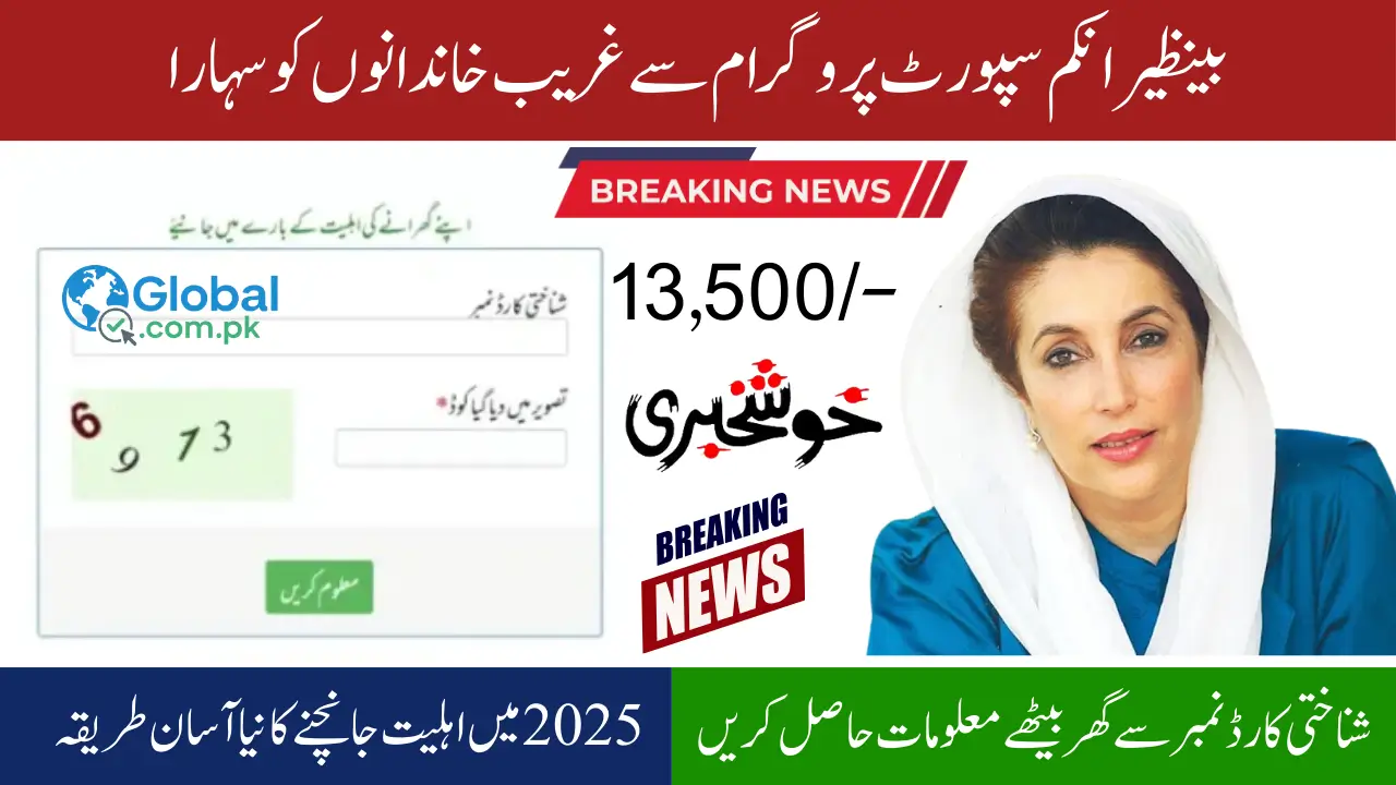 BISP 8171 Web Portal Payment Eligibility Check Online 2025 Check Required Document for Registration