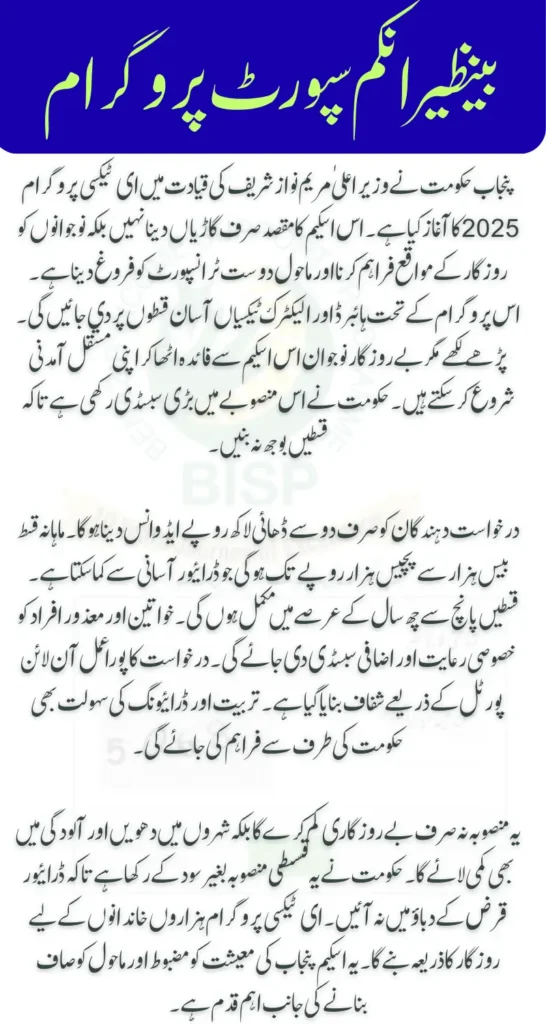 Punjab E-Taxi Program 2025 Payment Structure Check Step by Step Update