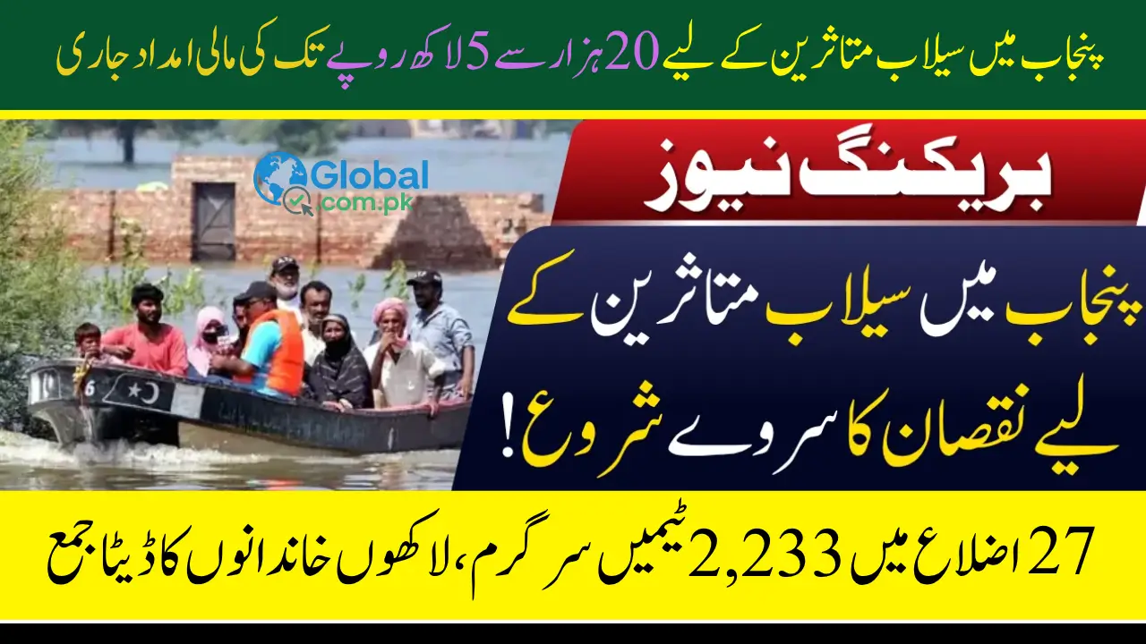 Flood Relief Survey Start in Punjab Check Complete Details Step by Step