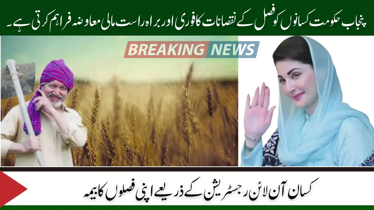 Punjab Crop Insurance Scheme 2025 Check Step-by-Step Online Registration Process