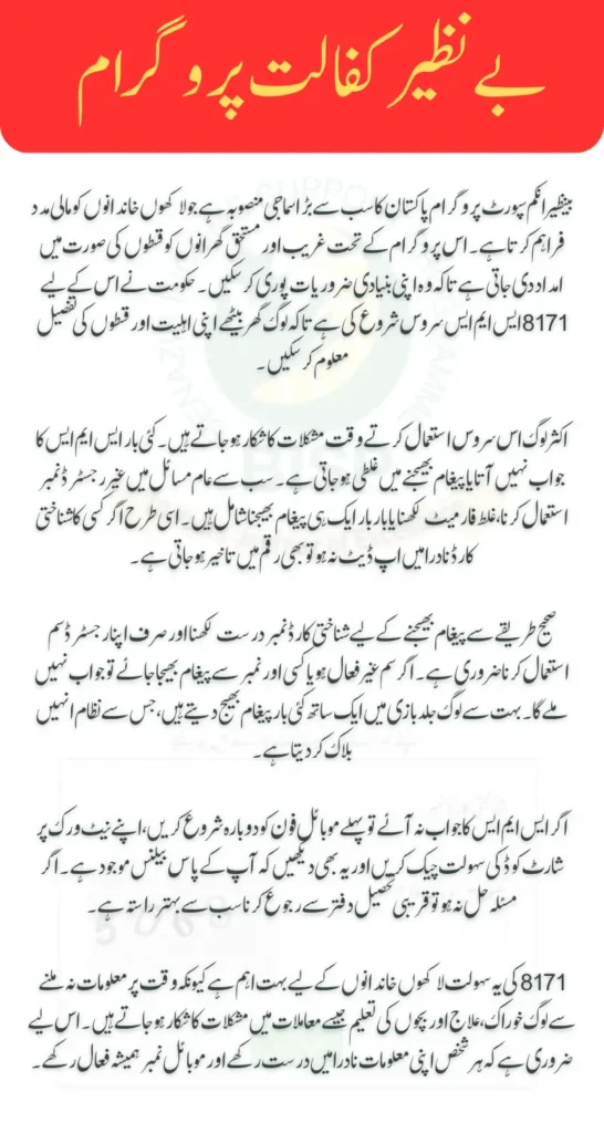 Resolve BISP 8171 SMS Issues 2025 Correct SMS Format (2025)