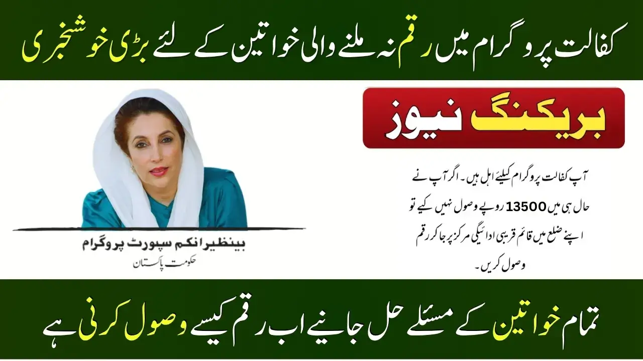 BISP 8171 JazzCash Payment 2025 Check Complete Oct-Nov Payment Details