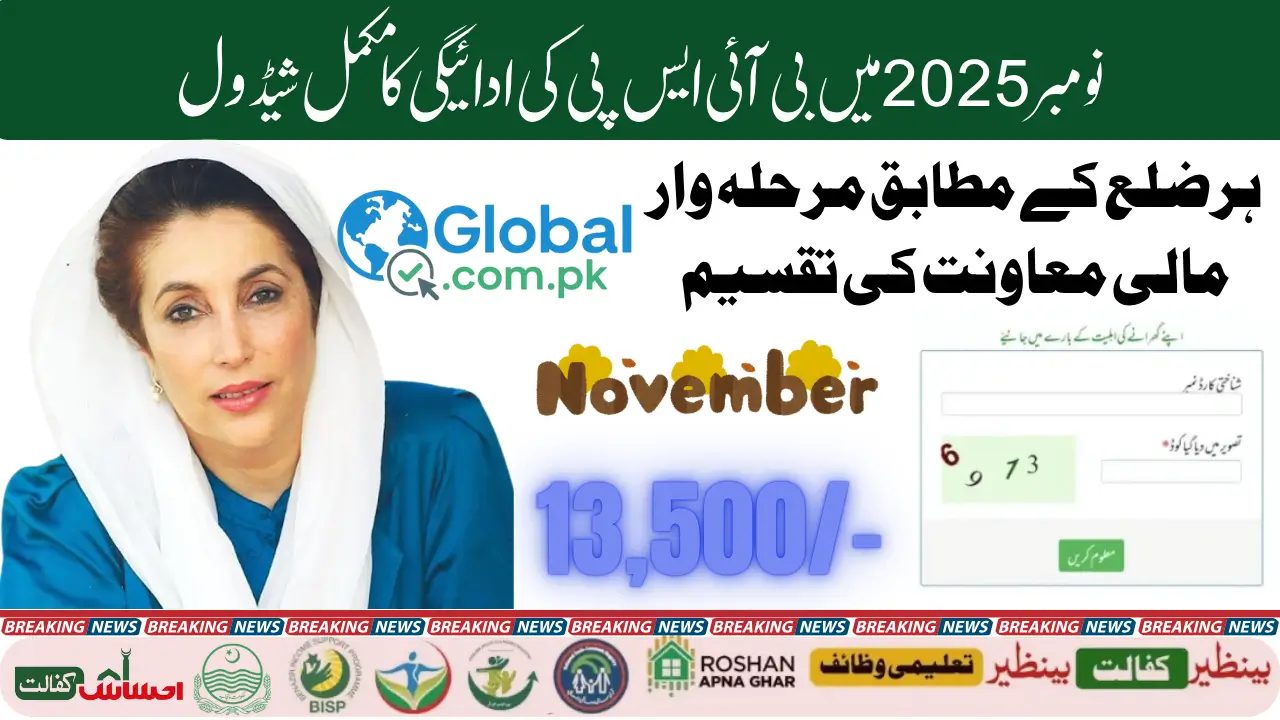 BISP Payment Schedule November 2025 District-Wise Payment Distribution