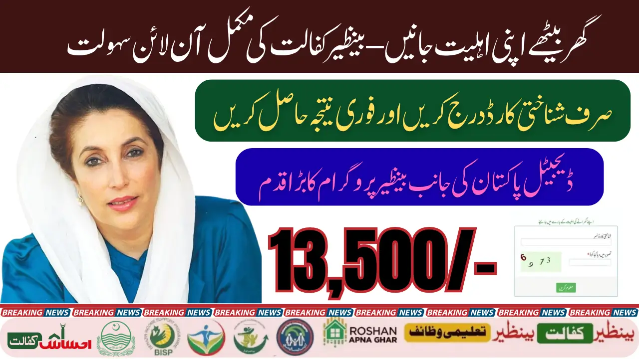 How to Check BISP Online Verification System 2025 Step-by-Step Complete Guide