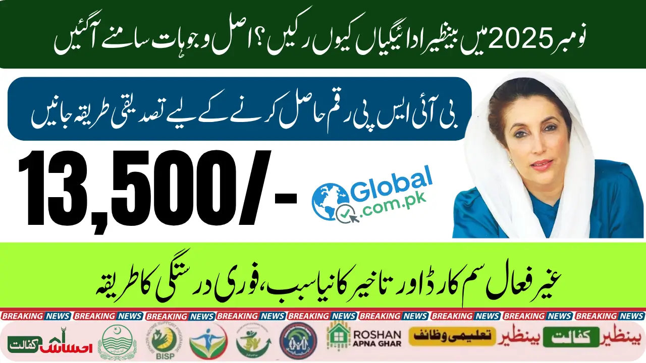 BISP 8171 Payment Delay November 2025 Check Complete Verification Process