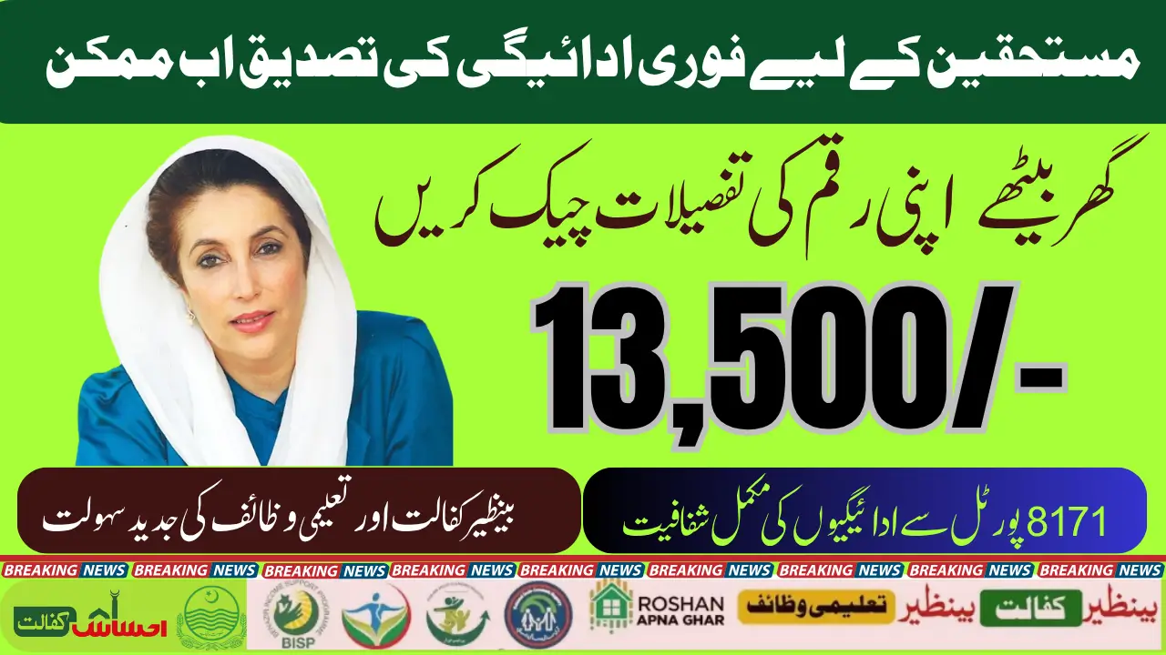 BISP Installment Tracking Portal 2025 Check November Payment Details Step by Step