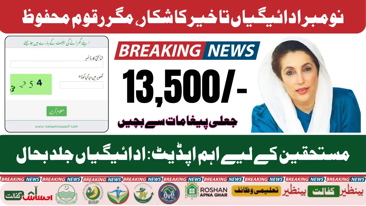 BISP 8171 November Payment Delay 2025 How to Safely Report Payment Issues